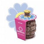 seedbom 
'Lovebom', 
vergeetmijnietje